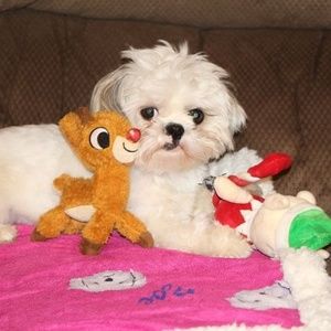 Meet your Posher, Tracy